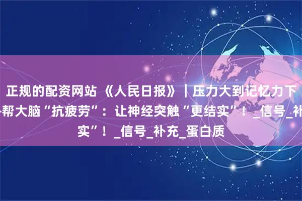 正规的配资网站 《人民日报》︱压力大到记忆力下降？NAD+帮大脑“抗疲劳”：让神经突触“更结实”！_信号_补充_蛋白质
